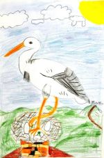 Kušnier Sebastián.jpg